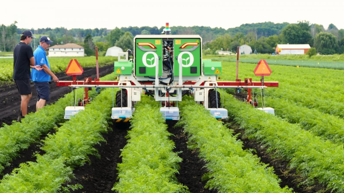 An autonomous robot cultivator working on a farm field. 