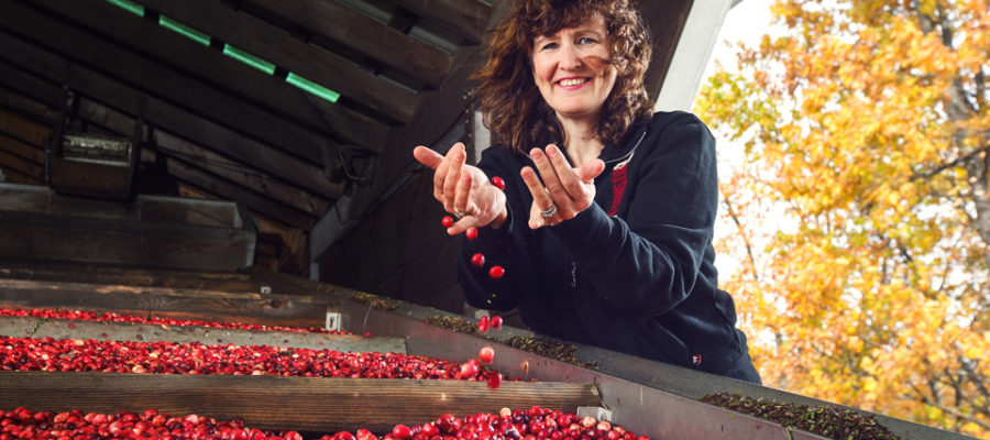 Wendy Hogarth runs Johnston's Cranberry Marsh in Bala, Ontario.