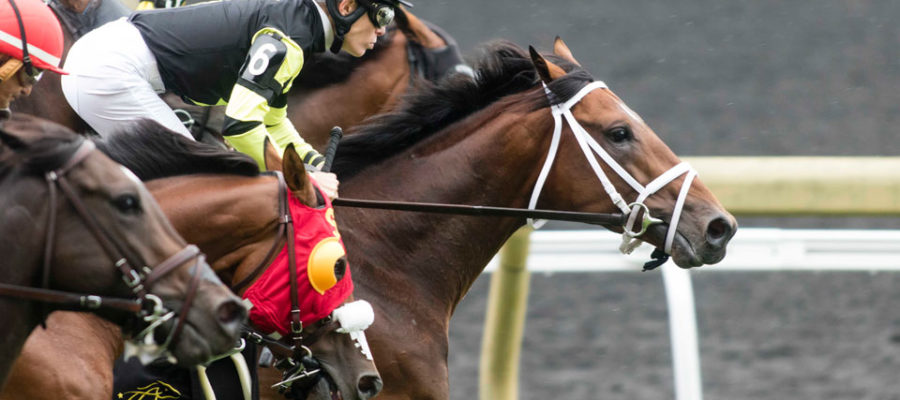Horse jockey Emma-Jayne Wilson is one of Canada's top athletes