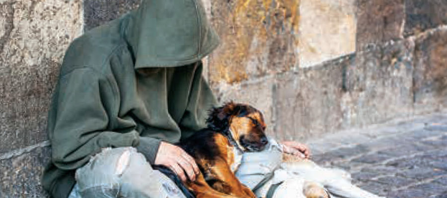 Homeless youth and pets