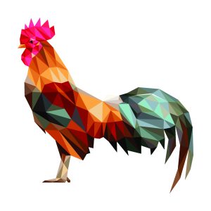 Rooster illustration.