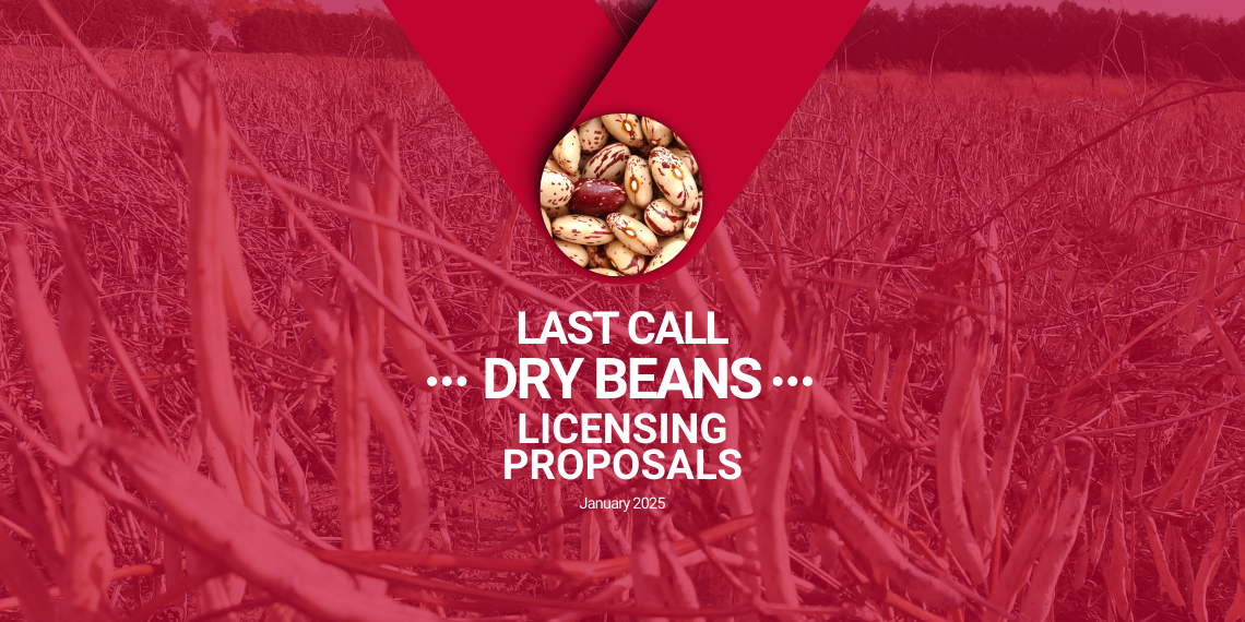 Image of a dry bean field in red with a closeup of dry beans in the middle. At the centre is the text, "Last Call, Dry Beans, Licensing Proposals, January 2025"