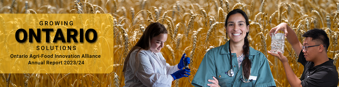 Ontario Agri-Food Innovation Alliance Annual Report 2023/24, featuring images three researchers overlayed on a background image of a wheat field