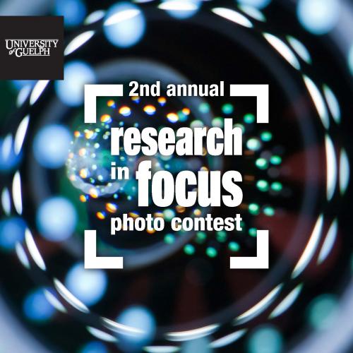 Photo of the 2nd annual Research in Focus photo contest Icon