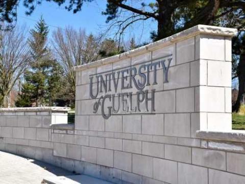 Photo of U of G sign on wall