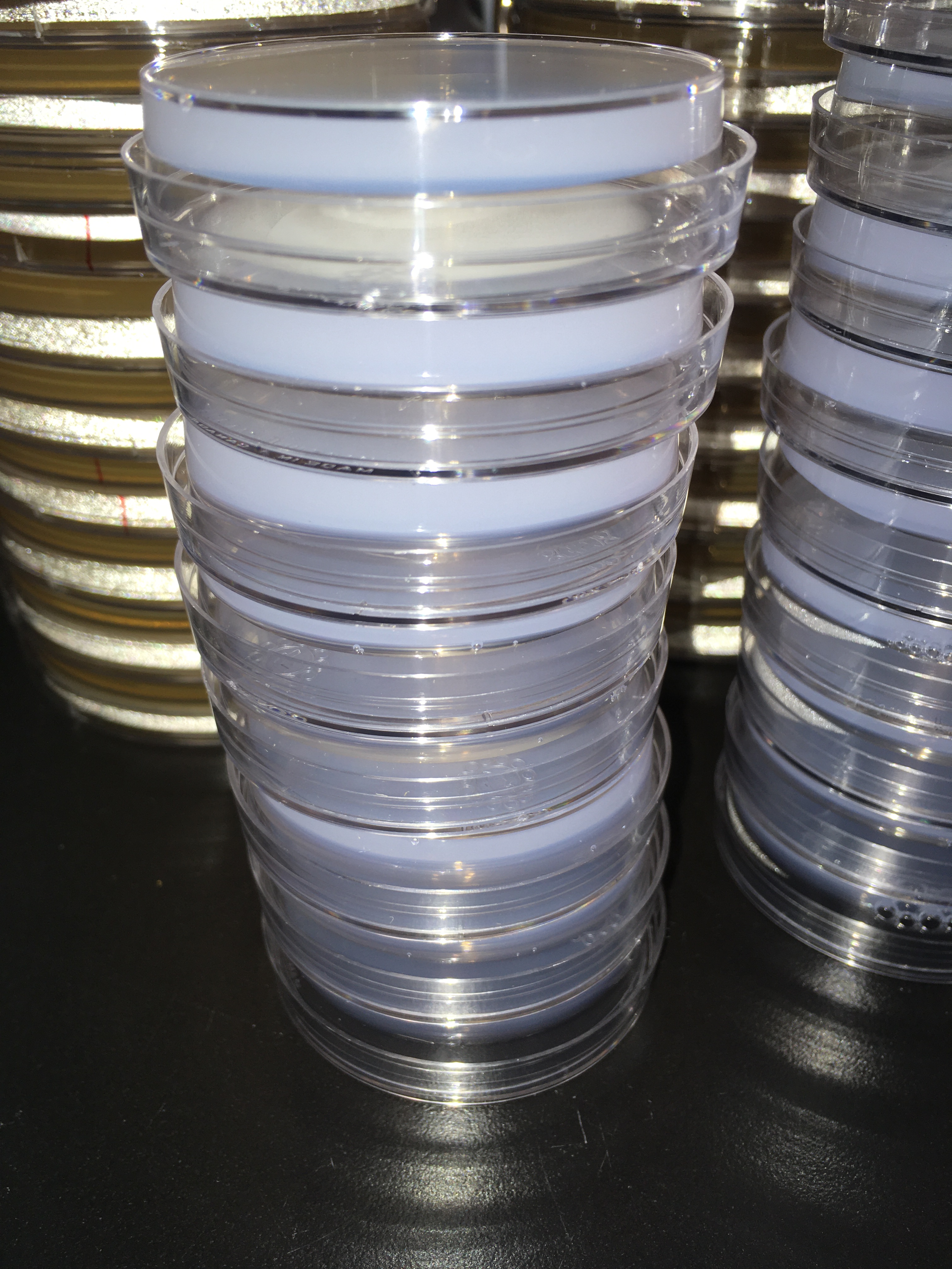 Multiple agar plates with a white one in front of the others