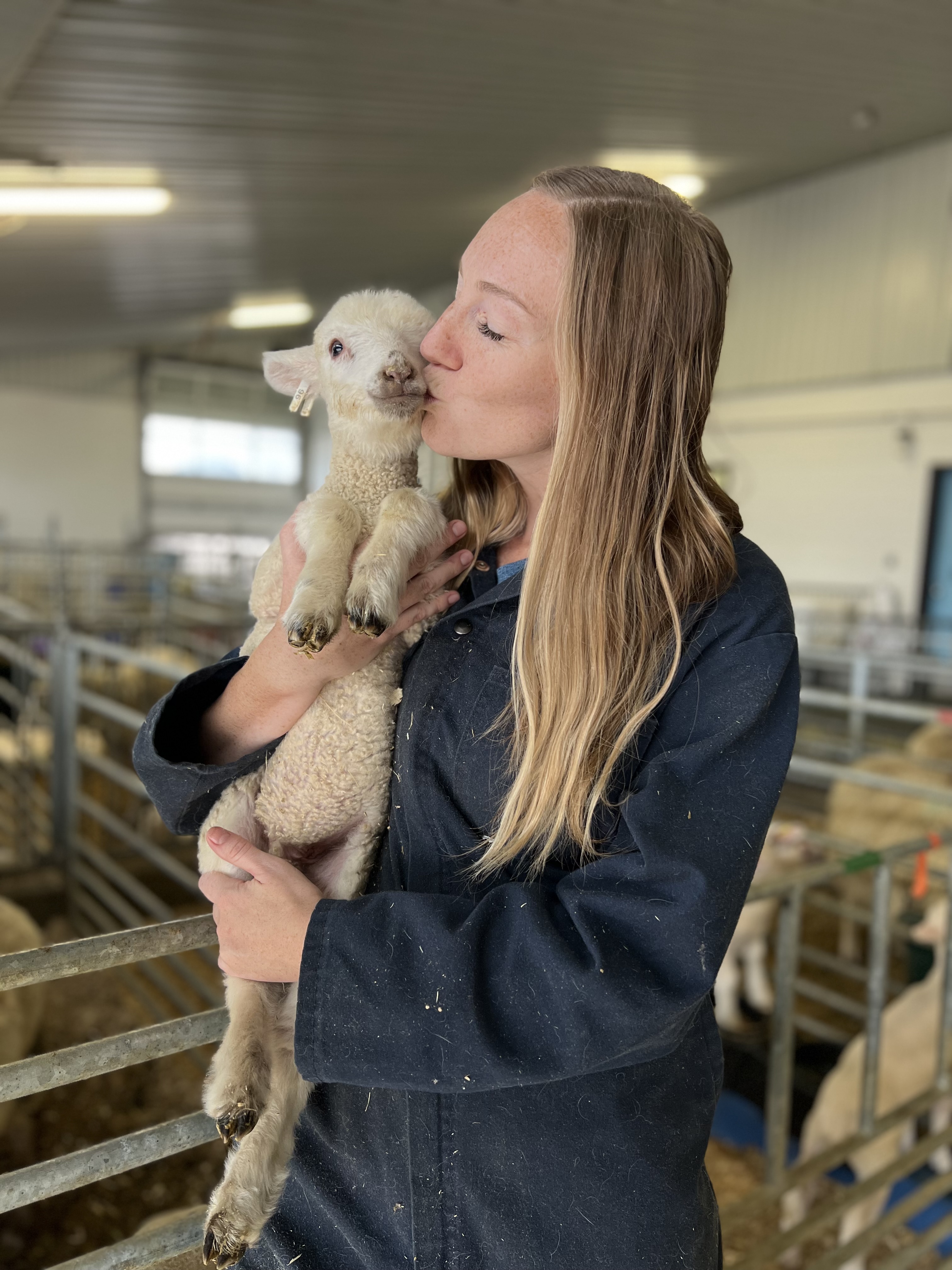 Researcher in coveralls giving a 10 day old white lamb a kiss on the nose 