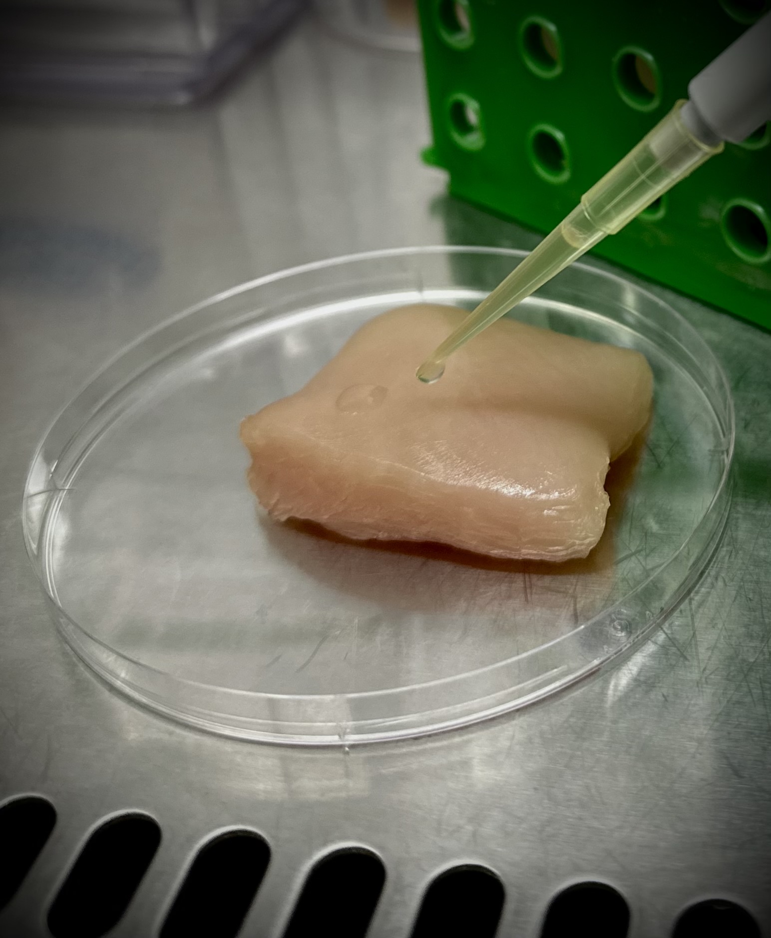 A syringe introducing pathogens onto a raw piece of chicken