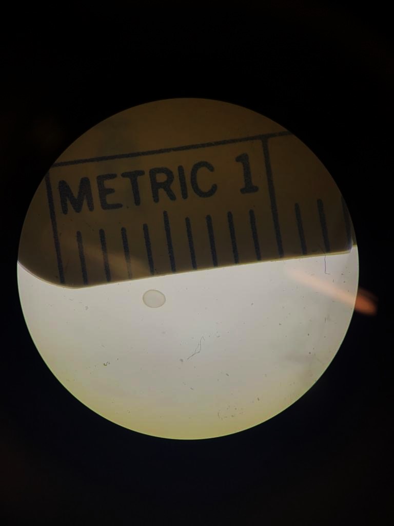 A two week old embryo. A circle on a dark background with the words Metric 1. A tiny little circle represents the cow embryo.