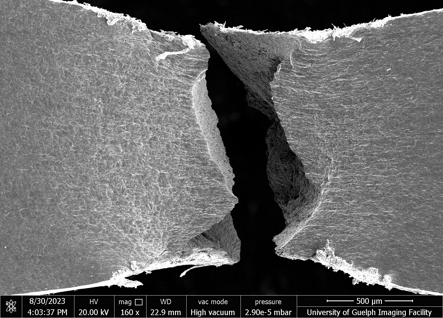 The scanning electron microscope (SEM) image of the fractured surface of the HSLA