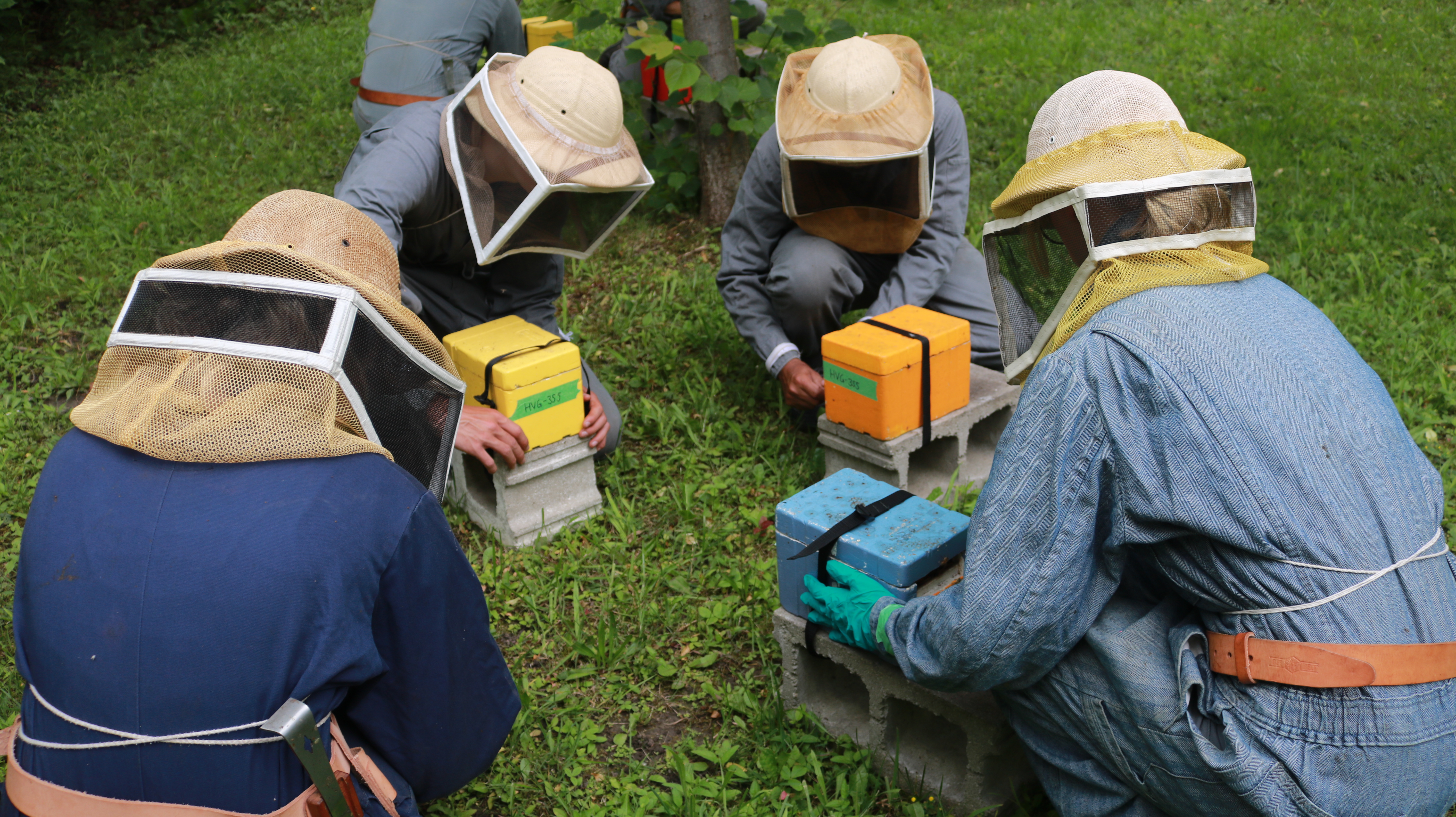 Four people in bee suits with little bee boxes 
