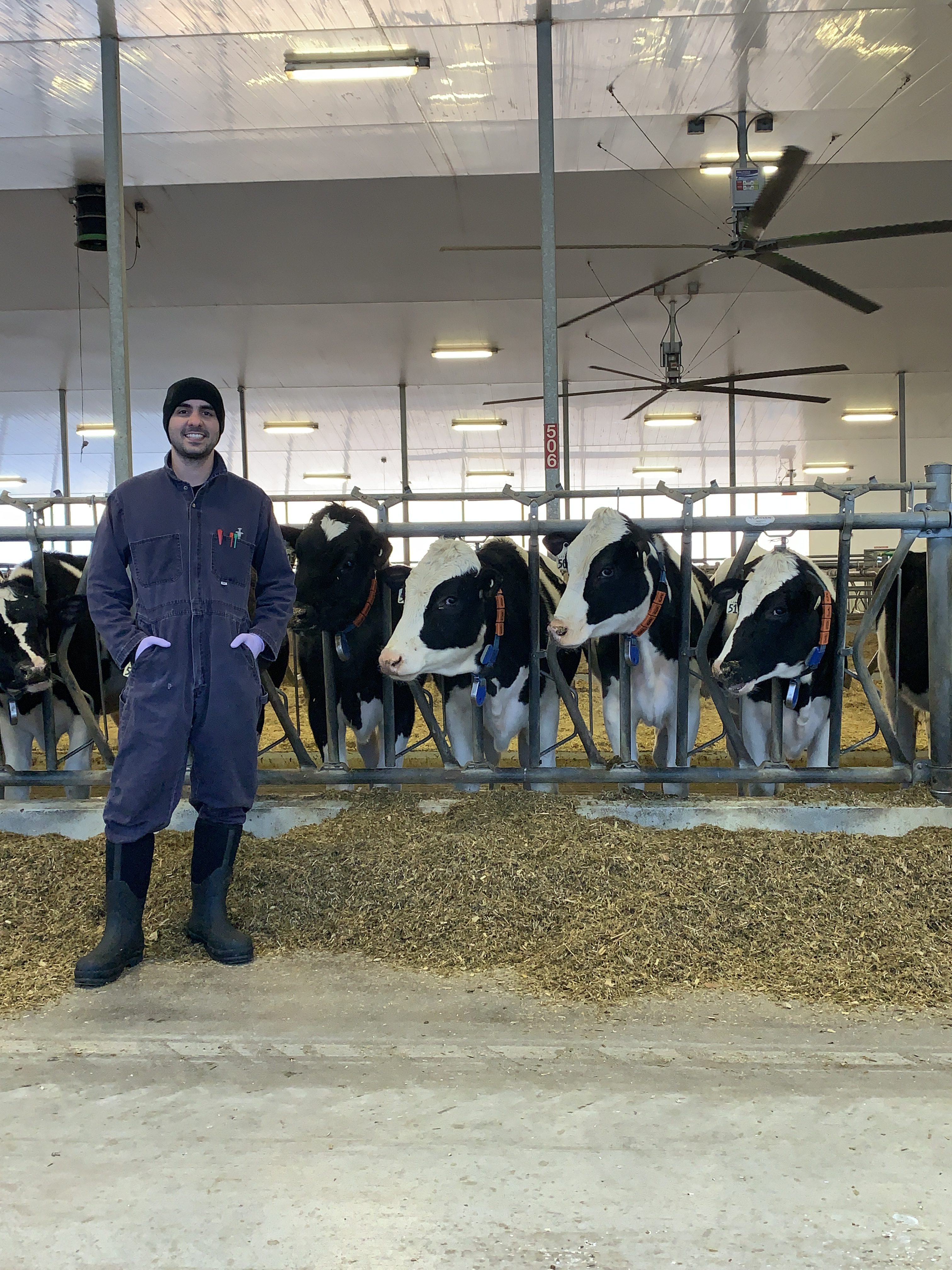 A man standing in front of cows in stalls 