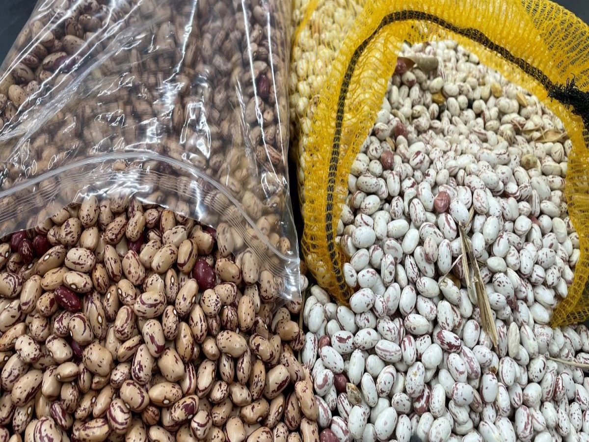 Bags of white and brown beans