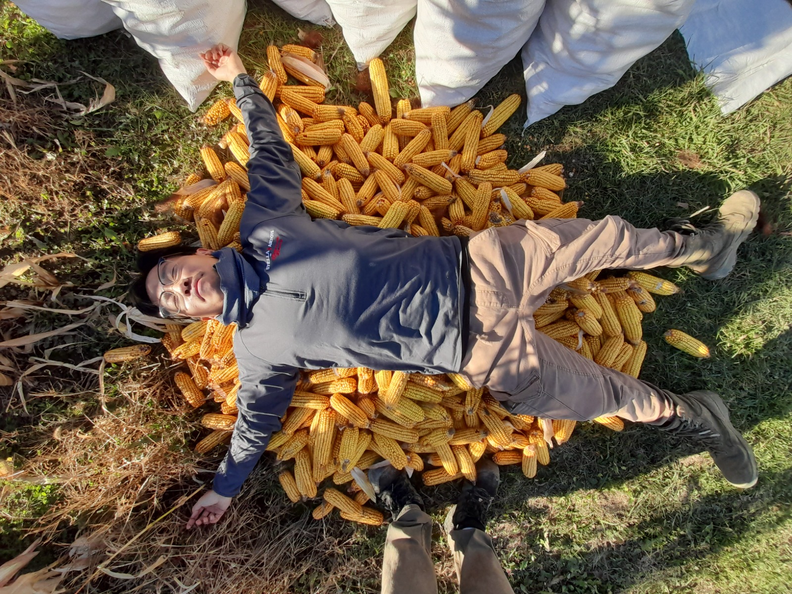 A man laying on a pile of corn