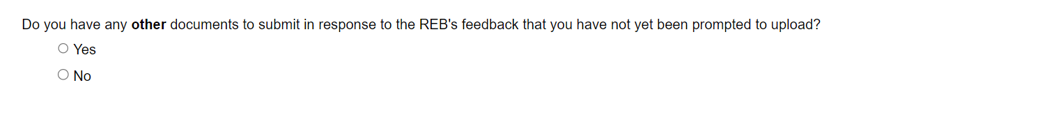 Screen shot of the Do you Have other documents question and the Yes and No options.