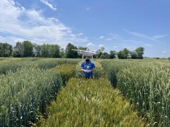 A researcher in a field with a drone over top of them