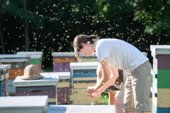 A woman kneeling down with bees flying all around her