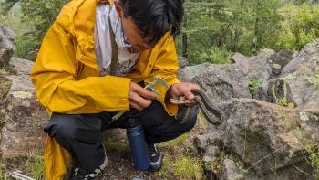 A man in a yellow coat kneeling down with a small snake in his hands as he measures it.
