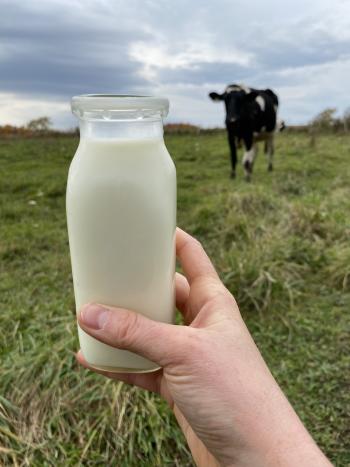 a glass of milk raised with a dairy cow in the background in a field