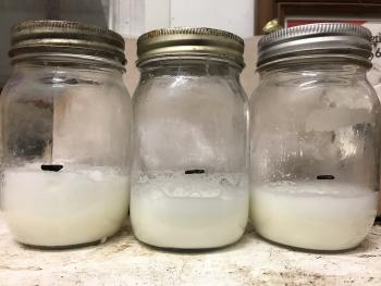 Three jars side by side containing milk