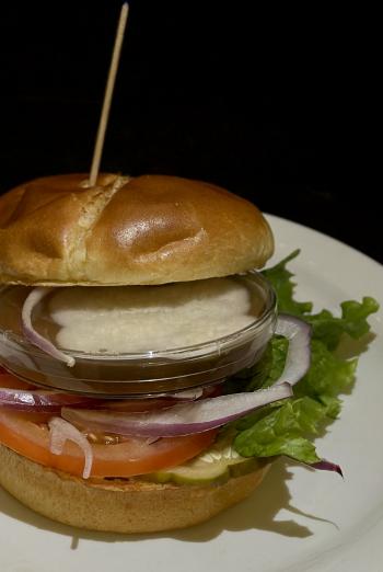  This image captures mycelium (grown in petridish) envisioned as a substitute for a burger patty. 