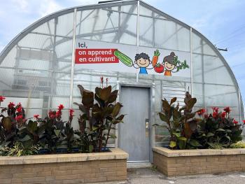 A school-based greenhouse where children can grow food while learning.