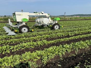 Naio Orio electric ag-robot spraying herbicide between rows of table beet field with precision in the Holland Marsh. 