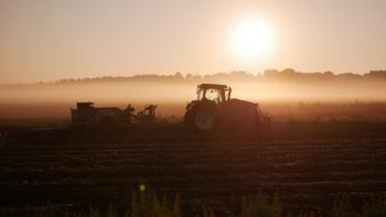 A tractor at dawn pulling a carrot combine with the sun rising in the distance.