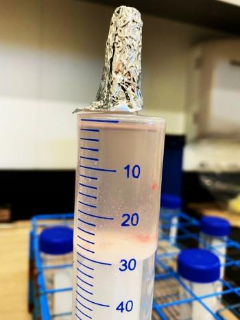 A measurement tube with numbers on the side with a tinfoil-like object at the top, containing a cow embryo.