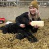 A girl bottle feeding a newborn beef calf