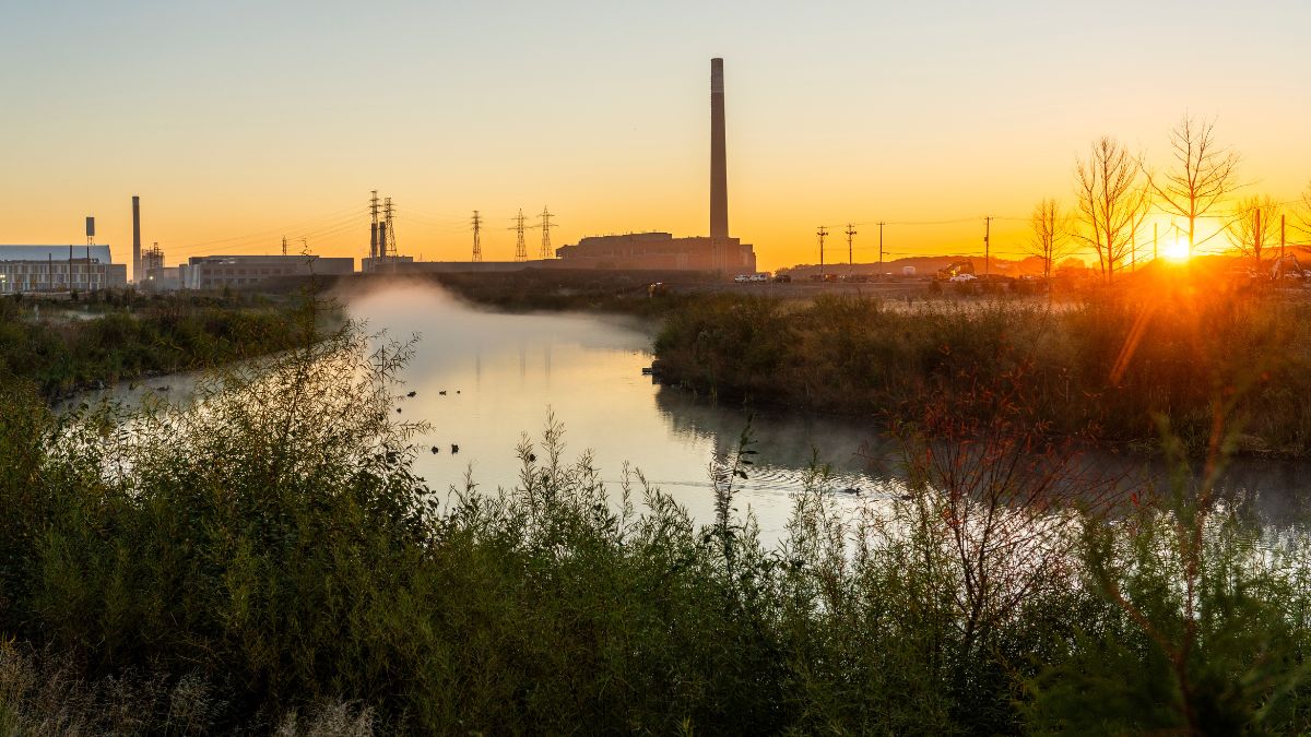 Port Lands River Flowing